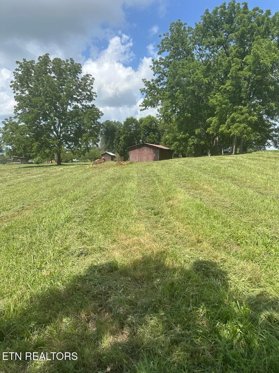 IMG_1211 - 1035 Green Rd, Madisonville, TN 37354