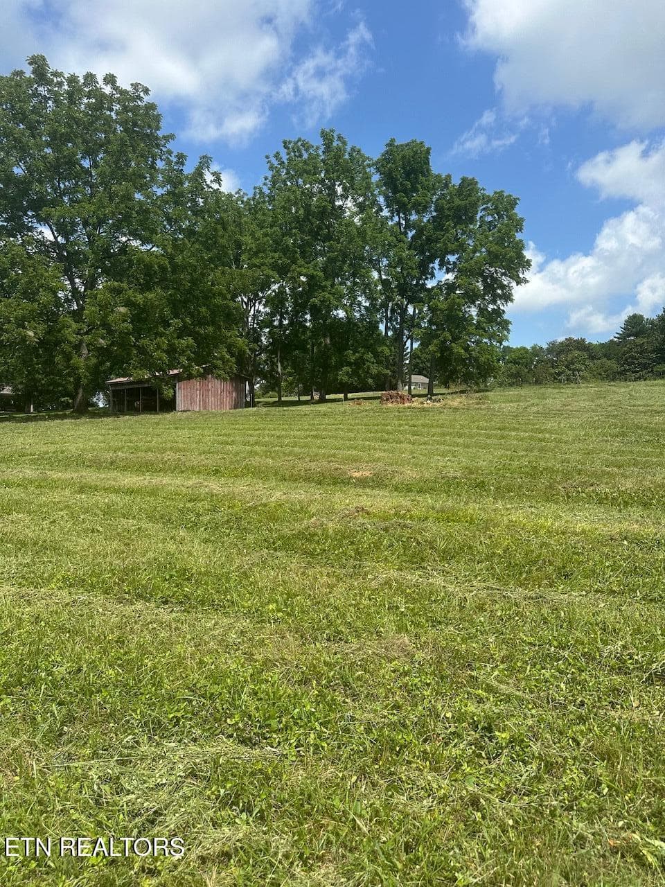 IMG_1216 - 1035 Green Rd, Madisonville, TN 37354