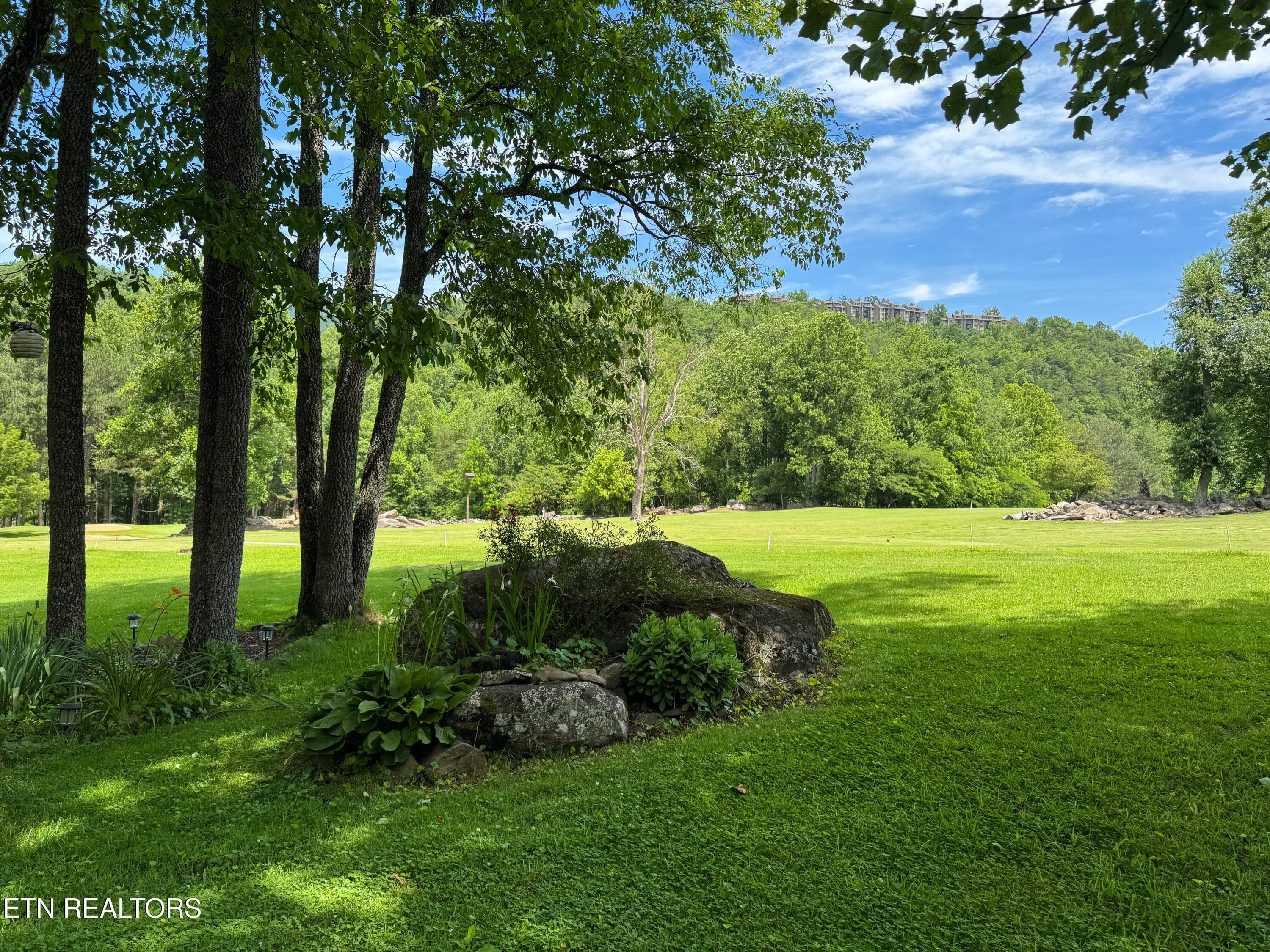 Laydown-51 - 3815 E Parkway Pkwy APT 13, Gatlinburg, TN 37738, Gatlinburg