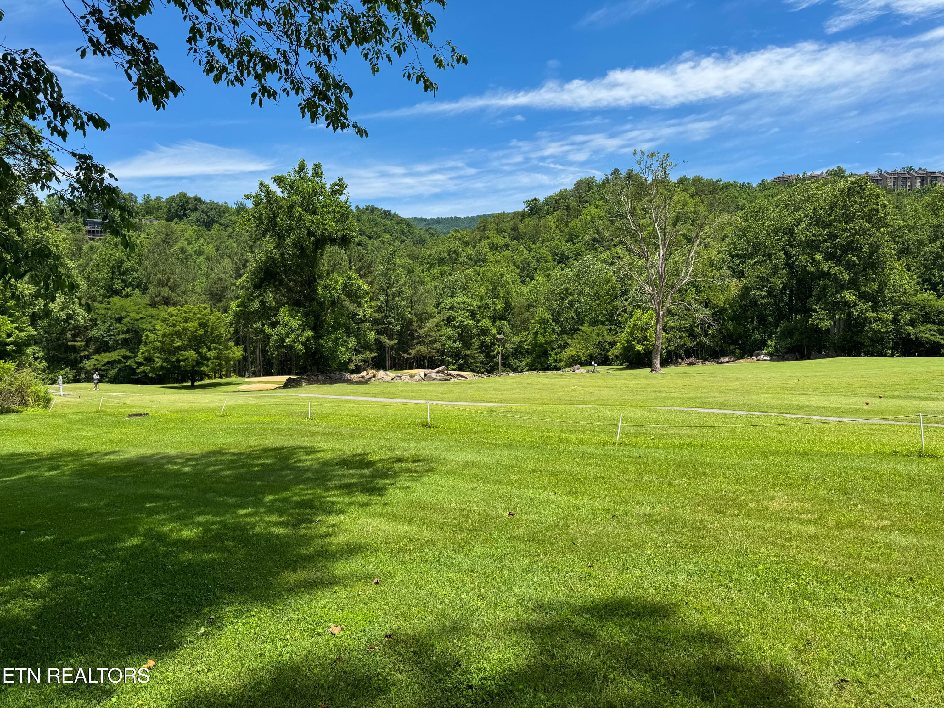 Laydown-50 - 3815 E Parkway Pkwy APT 13, Gatlinburg, TN 37738, Gatlinburg