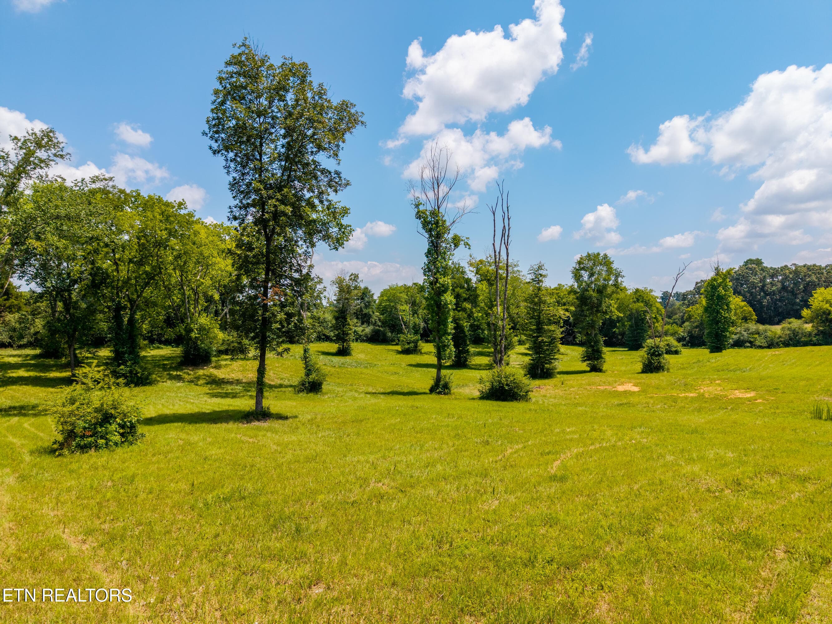 145WaldenGroverd-4 - 145 Walden Grove Rd, Sweetwater, TN 37874