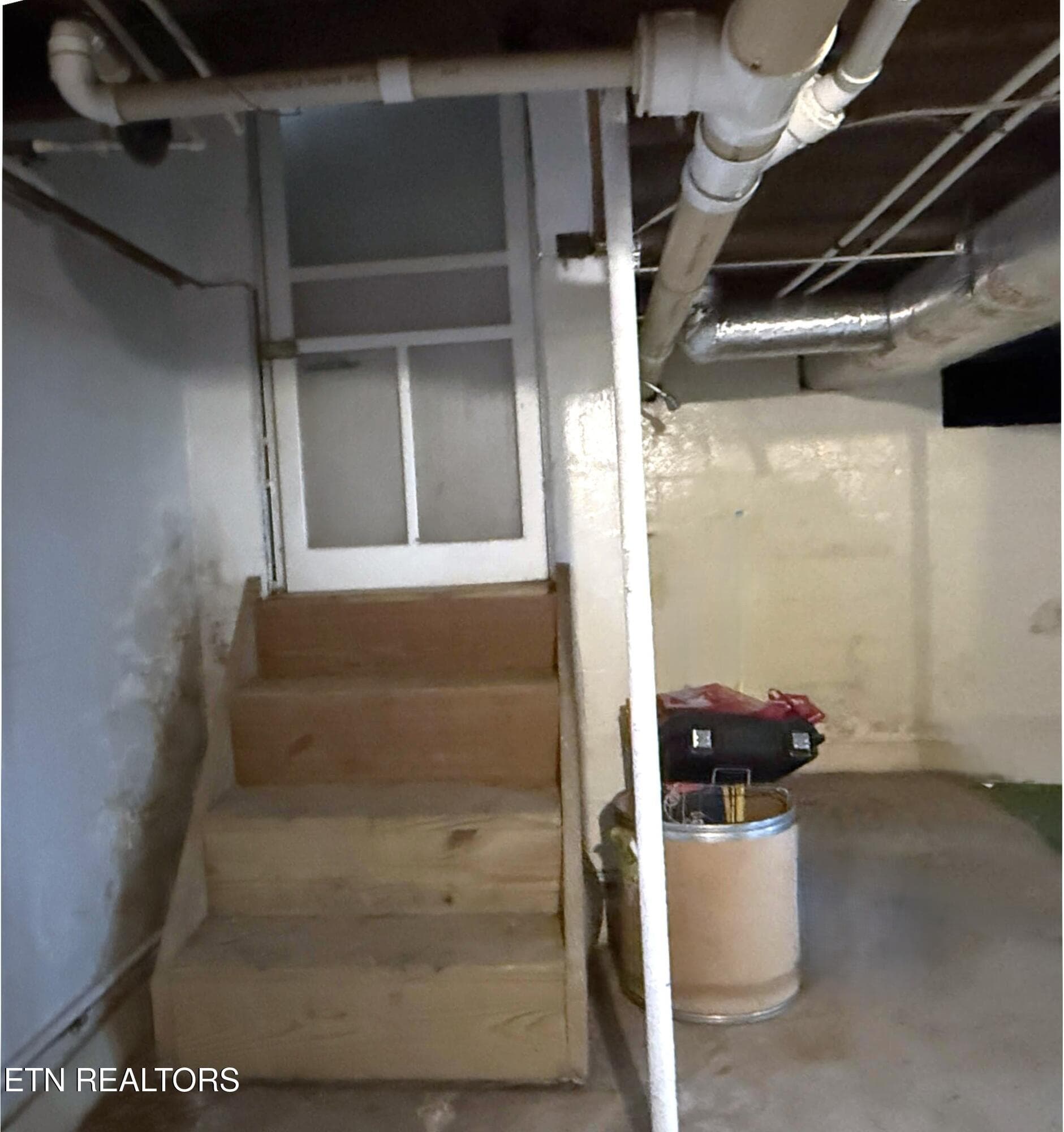 basement door - 710 Rickman Rd, Livingston, TN 38570, Livingston