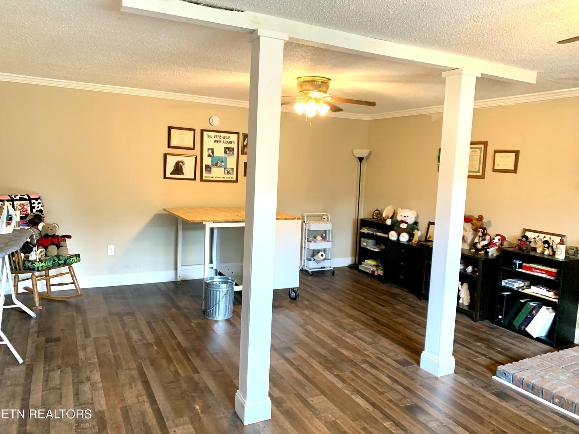 Basement Bonus Room - 309 Allison St, New Tazewell, TN 37825