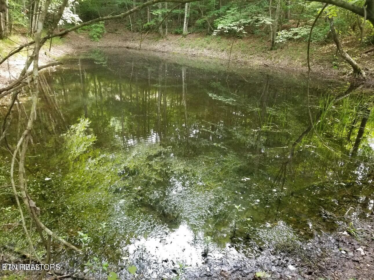 Pond - 109 Camp Howard Rd, Oakdale, TN 37829