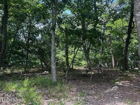 FAIRFIELD GLADE - 130 Markham Lane, Fairfield Glade, TN 38558