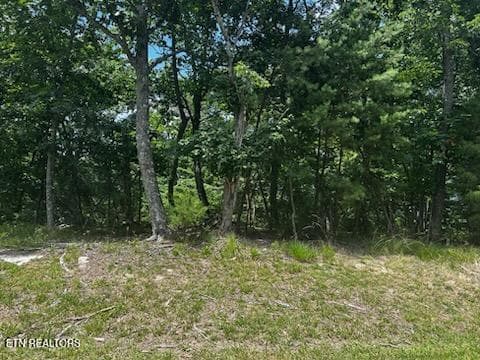 WOODED LOT - 130 Markham Lane, Fairfield Glade, TN 38558