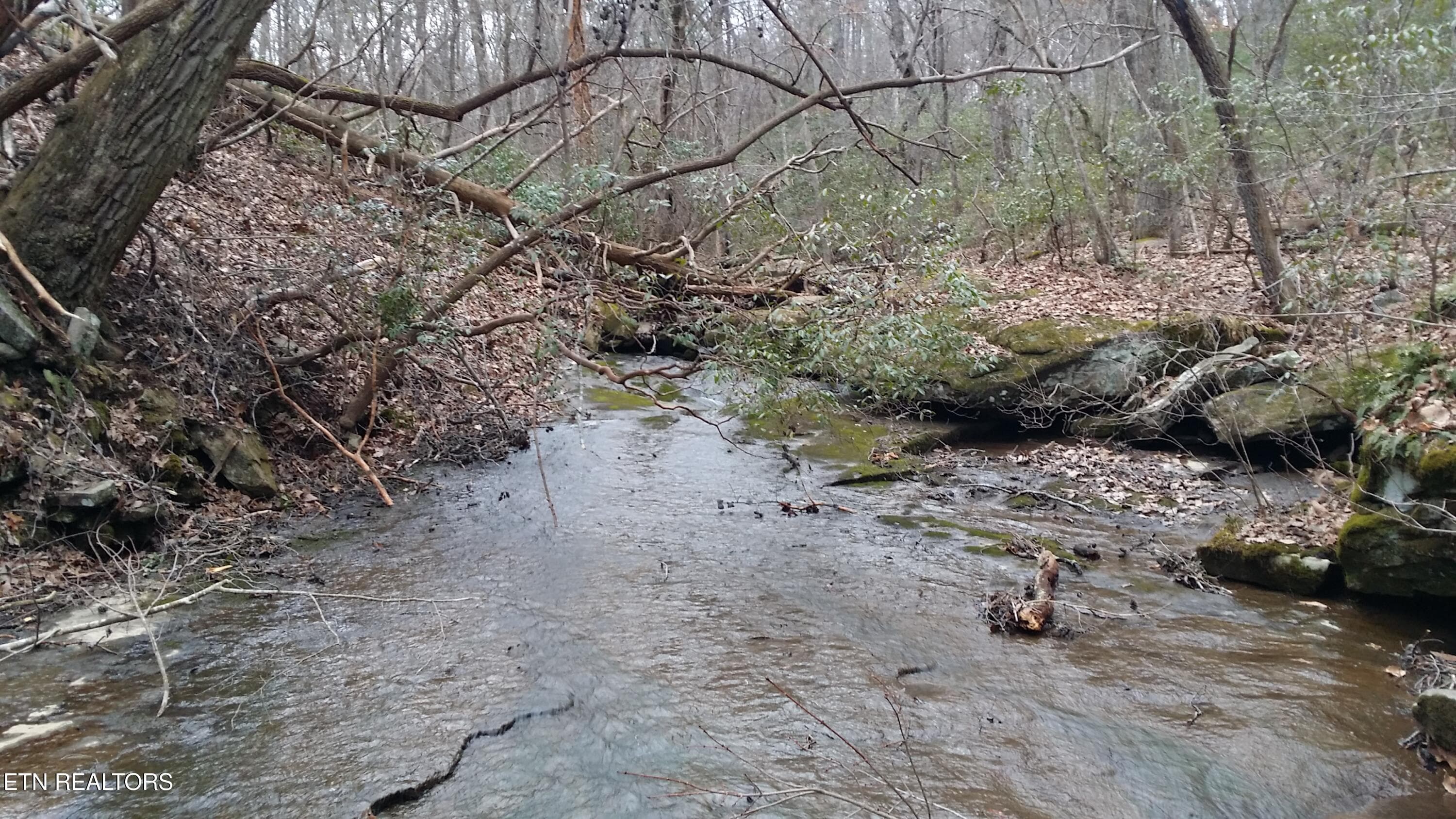 HIKING BESIDE DADDYS CREEK - 130 Markham Lane, Fairfield Glade, TN 38558