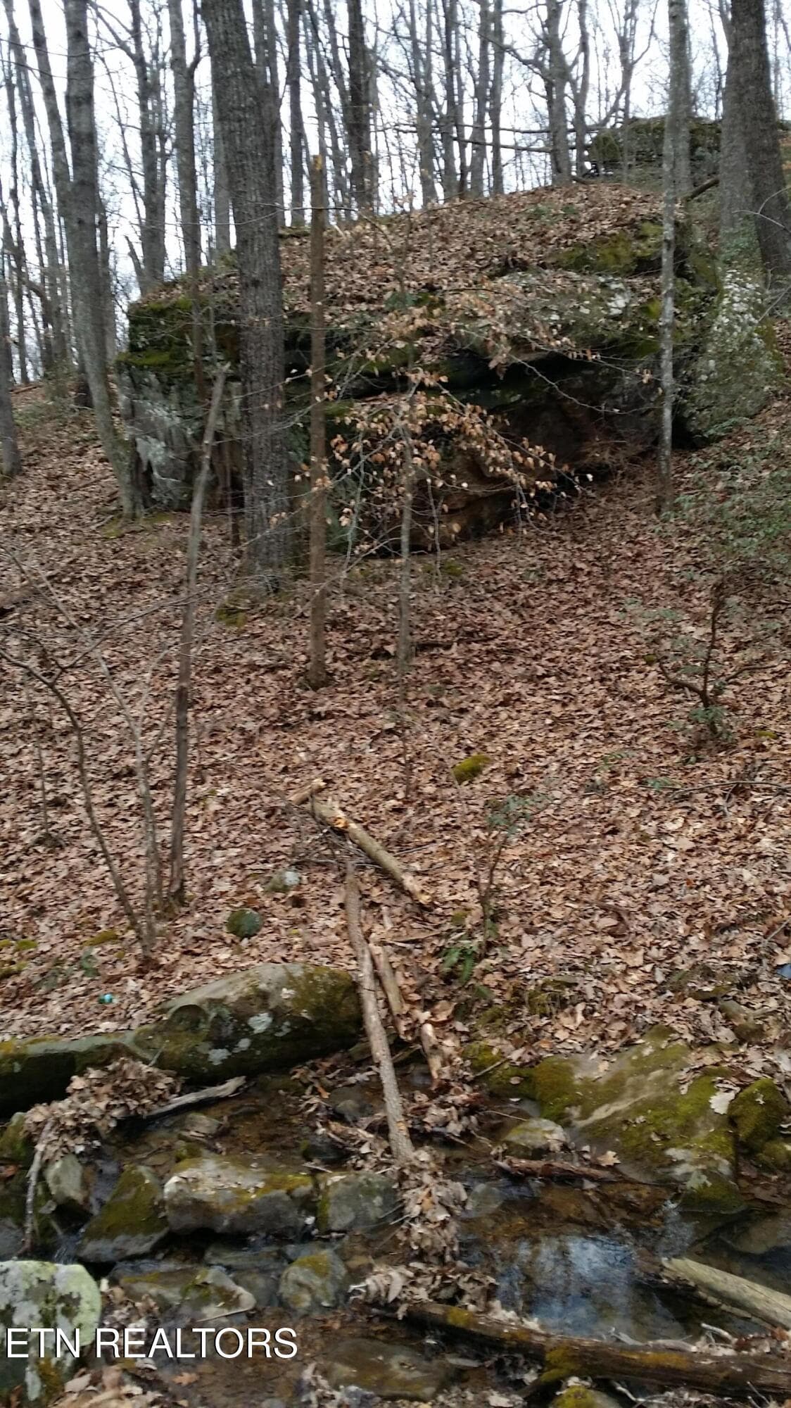 CUMBERLAND PLATEAU ROCK OUTCROPPINGS - 130 Markham Lane, Fairfield Glade, TN 38558