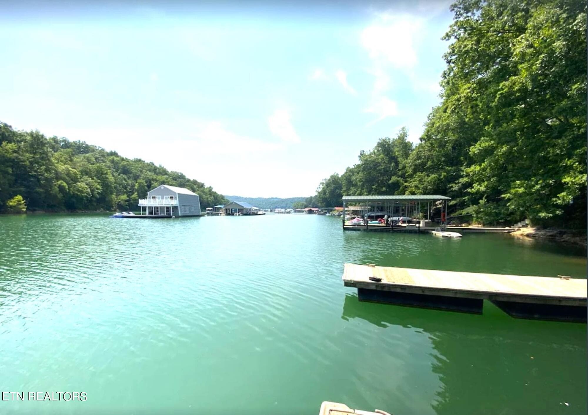 Mile deep cove - 123 Flat Lake Circle, Speedwell, TN 37870, Speedwell