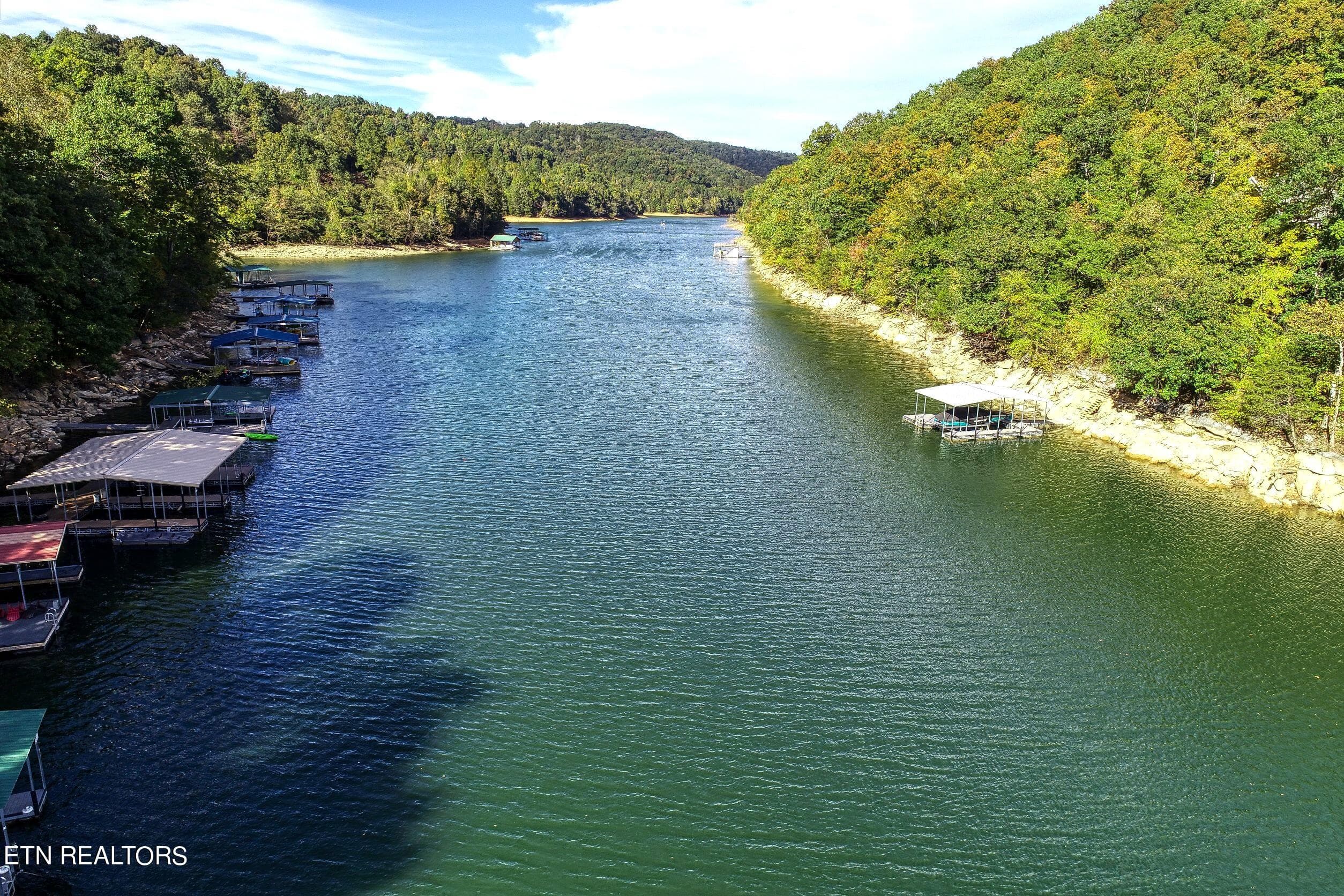 no wake cove - 123 Flat Lake Circle, Speedwell, TN 37870, Speedwell
