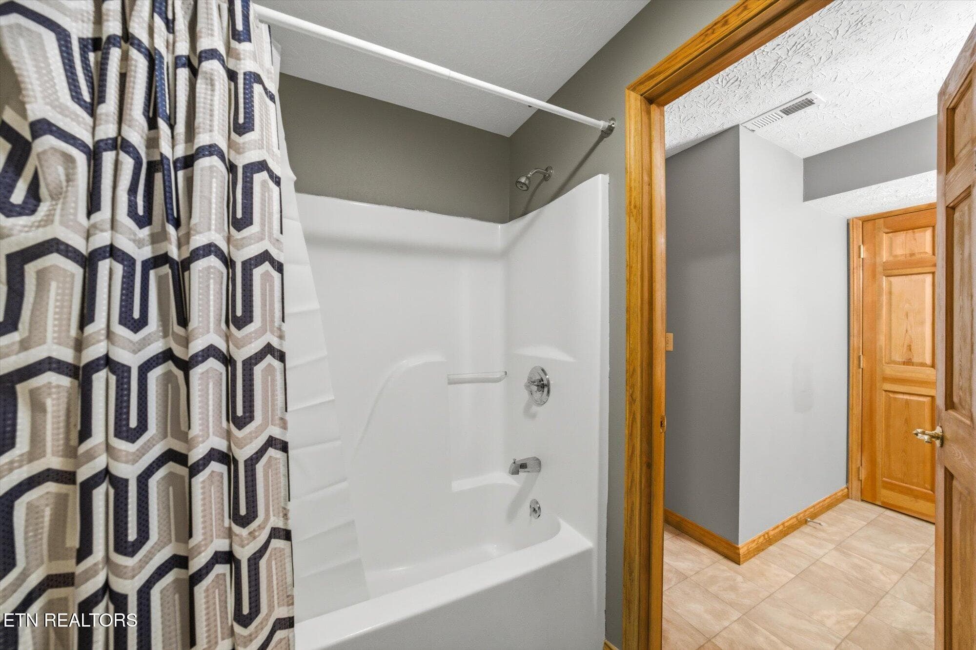 lower level tub/shower combo - 123 Flat Lake Circle, Speedwell, TN 37870, Speedwell