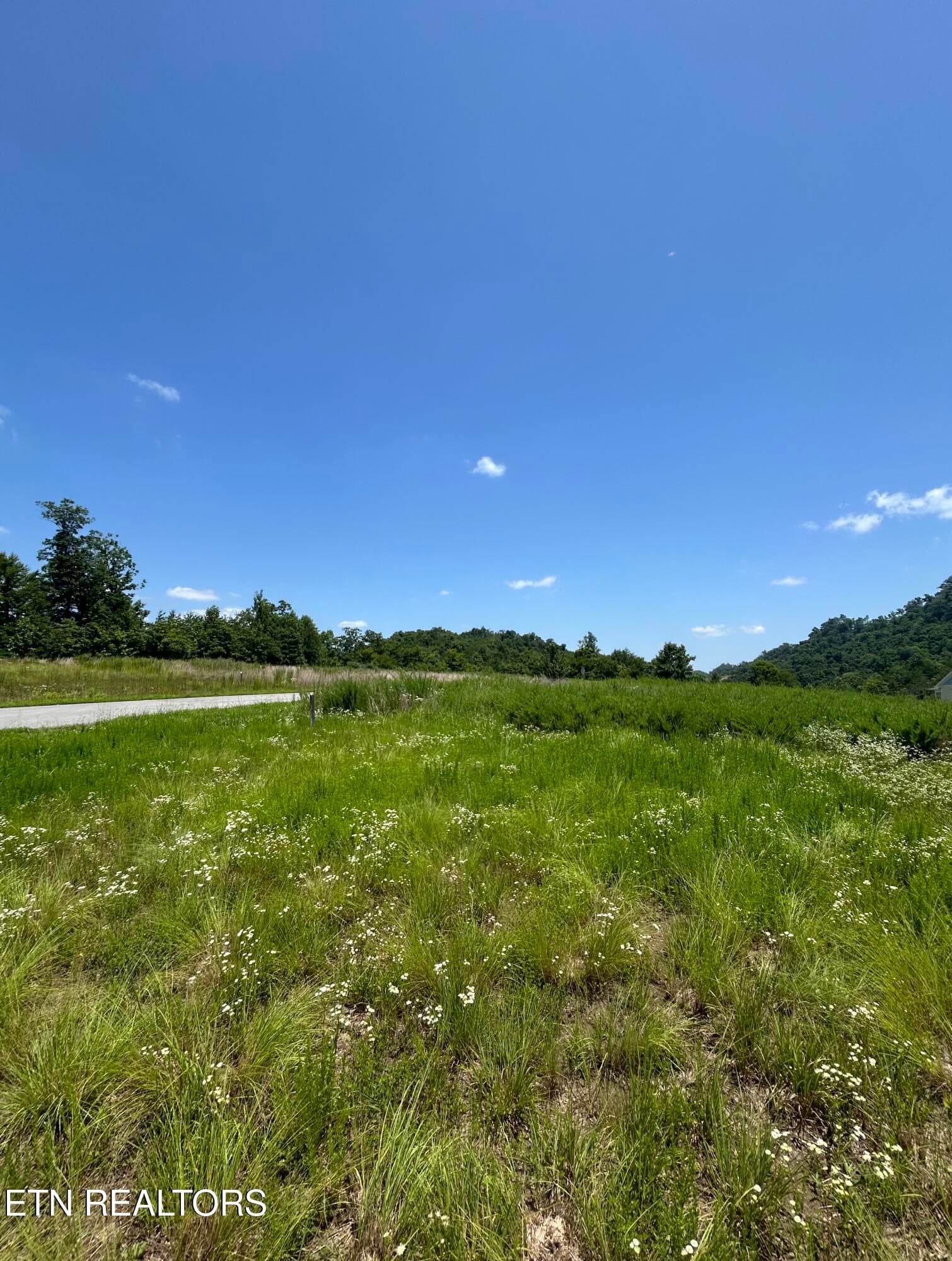 IMG_2272 - lot 27 Windward Blvd, Tazewell, TN 37879, Tazewell
