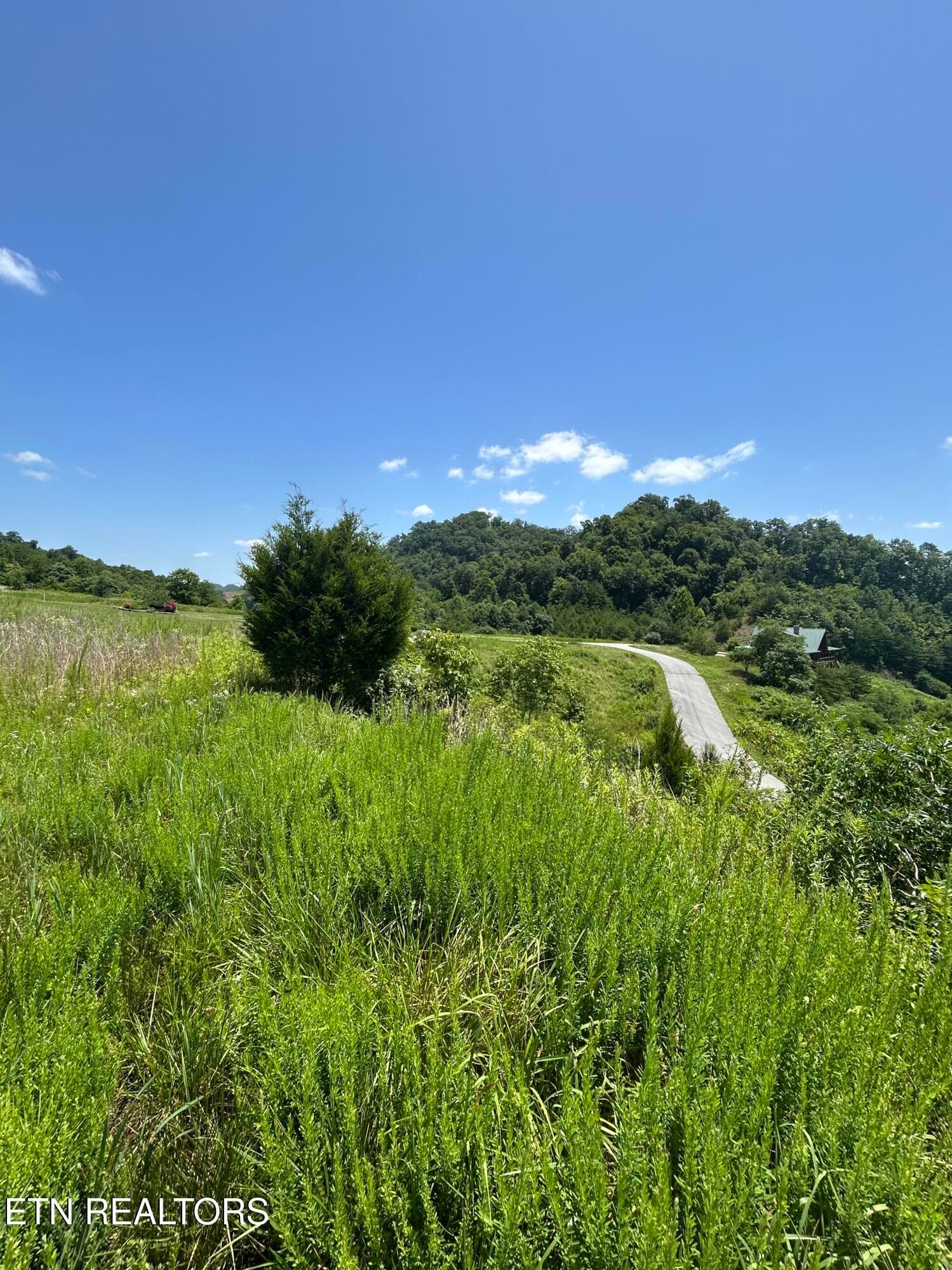 IMG_2294 - lot 27 Windward Blvd, Tazewell, TN 37879, Tazewell