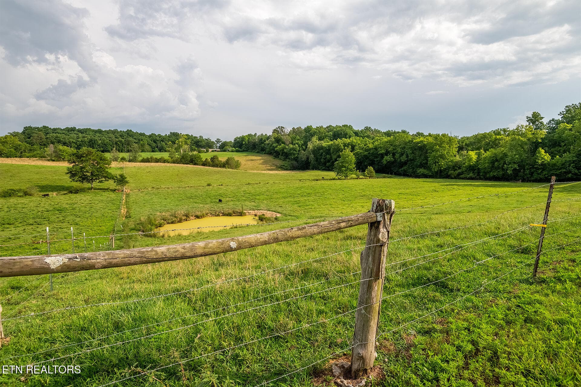 Rick Tipton_4635 Warrensburg Road_011 - - 4635 Warrensburg Rd, Greeneville, TN 37743