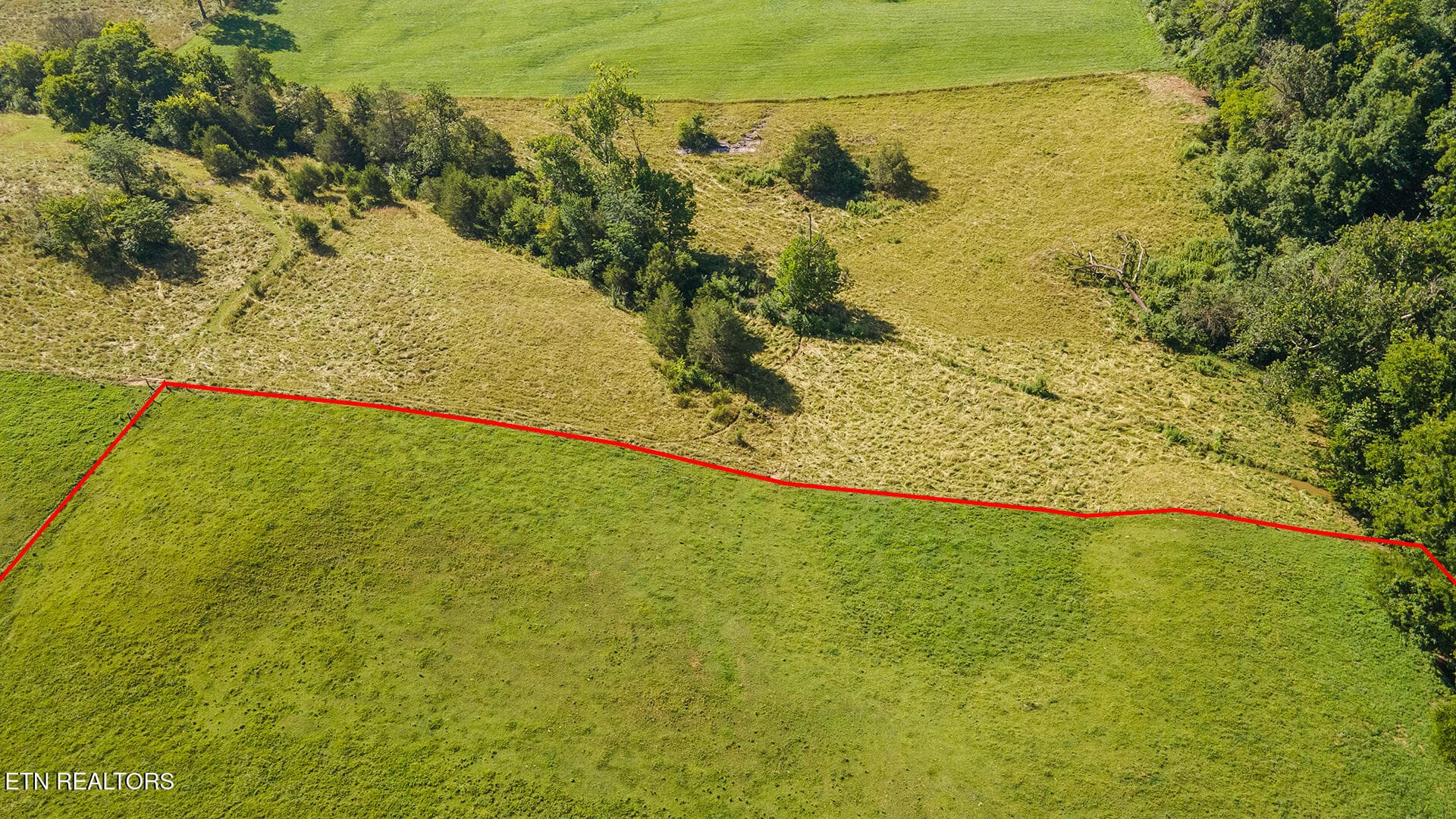 Rick Tipton_4635 Warrensburg Road_Aerial - 4635 Warrensburg Rd, Greeneville, TN 37743