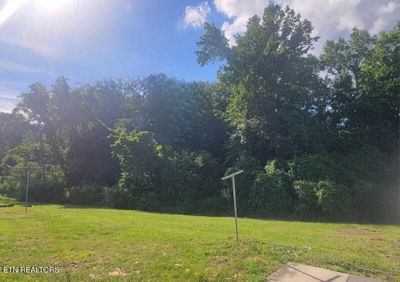 9 - 942 Mount View Rd, Robbins, TN 37852