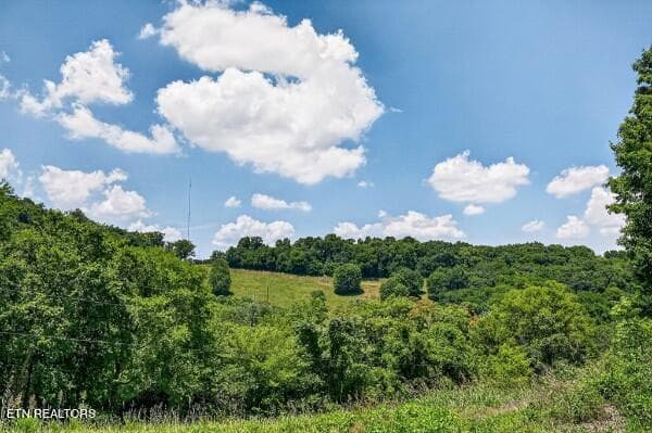 154647761-lr - 99 Judkins Lane, Hickman, TN 38567