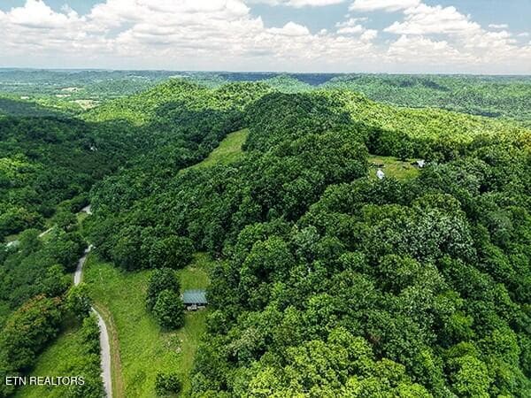 154647778-lr - 99 Judkins Lane, Hickman, TN 38567