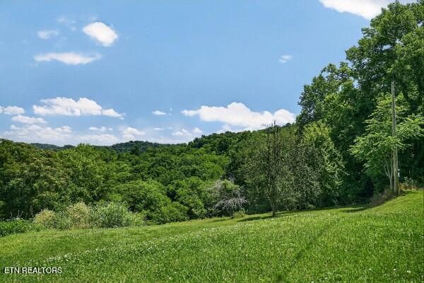 154647781-lr - 99 Judkins Lane, Hickman, TN 38567