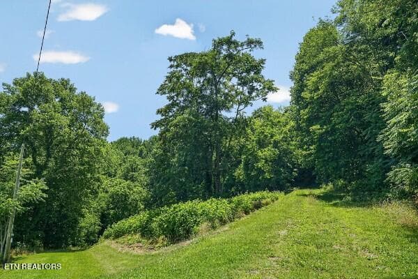 154647783-lr - 99 Judkins Lane, Hickman, TN 38567