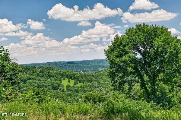 154647789-lr - 99 Judkins Lane, Hickman, TN 38567