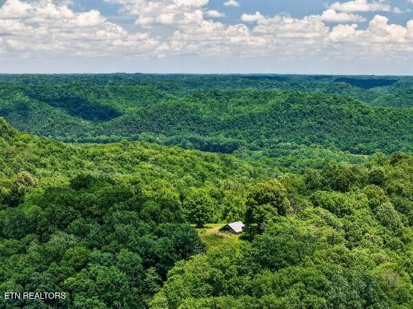 154647798-lr - 99 Judkins Lane, Hickman, TN 38567