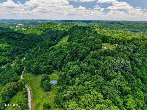 154647800-lr - 99 Judkins Lane, Hickman, TN 38567