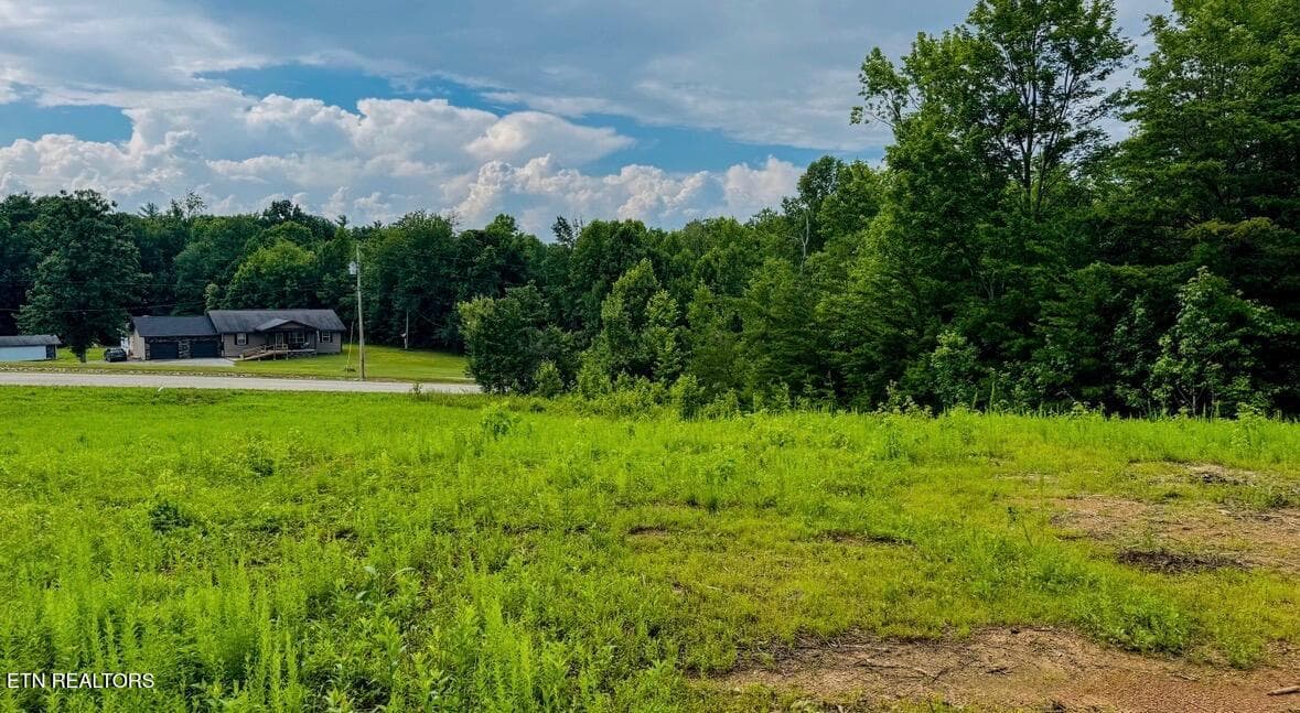 IMG_3185 - Clay Boyatt Rd, Oneida, TN 37841