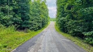 IMG_3187 - Clay Boyatt Rd, Oneida, TN 37841