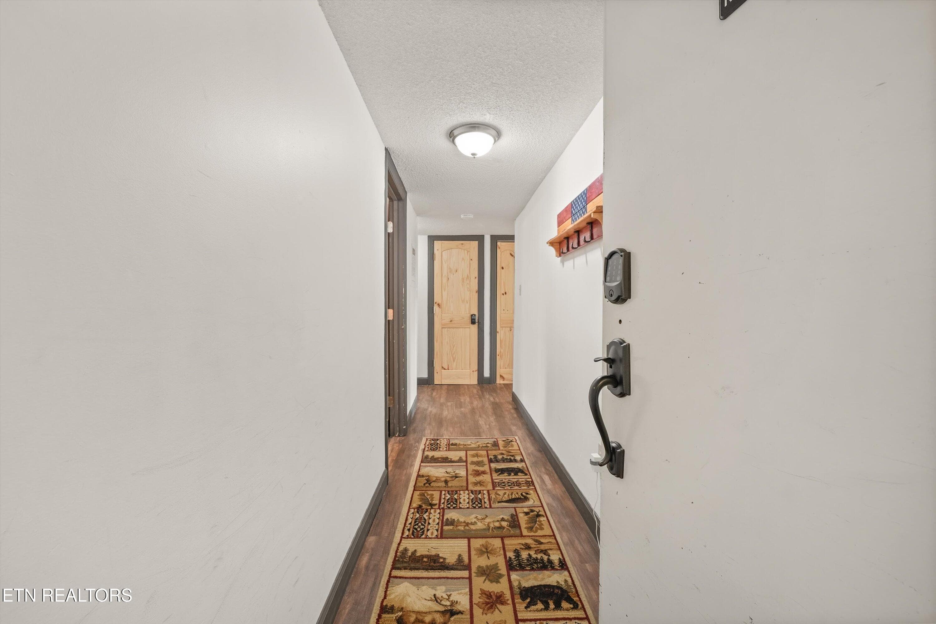 Entry Hallway - 1260 Ski View Drive 5305, Gatlinburg, TN 37738, Gatlinburg