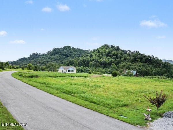 IMG_9852 - lot 27 Windward Blvd, Tazewell, TN 37879, Tazewell