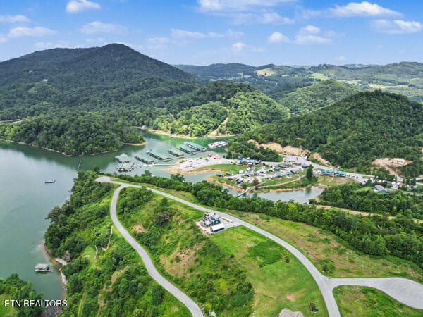 IMG_9858 - lot 27 Windward Blvd, Tazewell, TN 37879, Tazewell