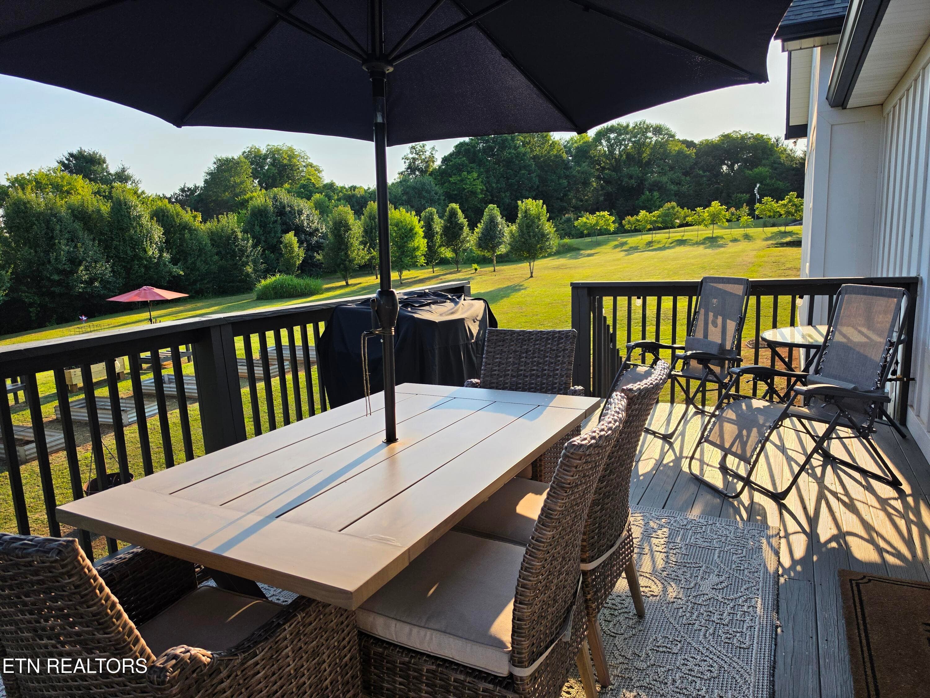 20260624_192401 - 113 Stone Leigh Drive, New Market, TN 37820, New Market