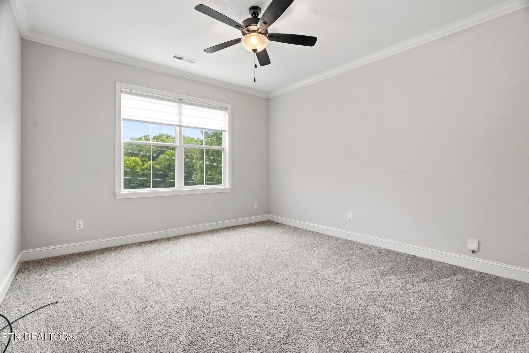 dsc06780 - 1149 Madison Oaks Rd, Knoxville, TN 37924, Knoxville