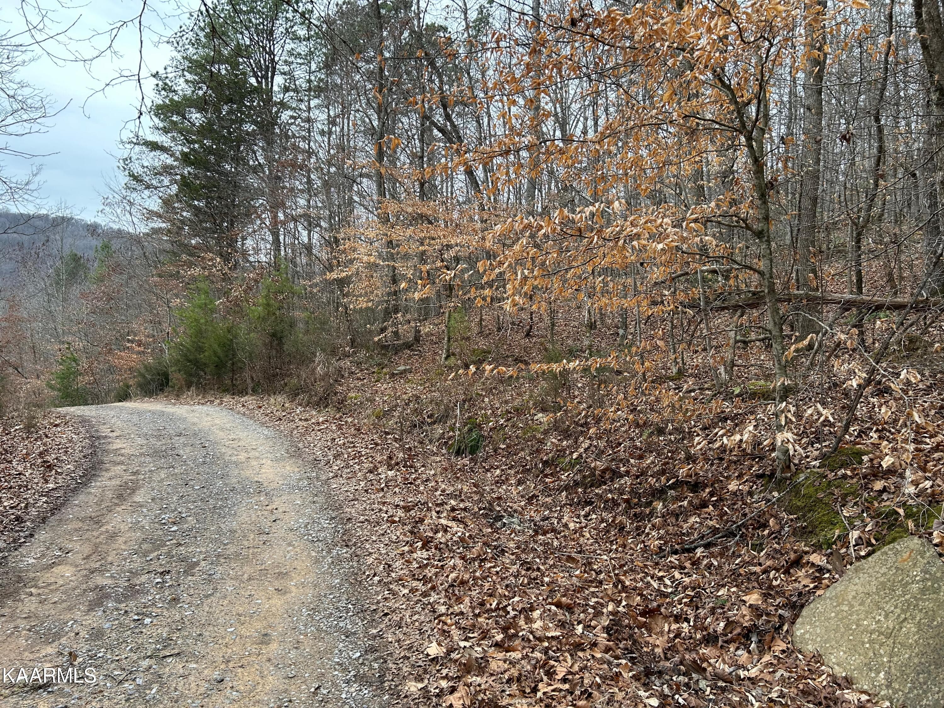 IMG_0006 - 5271 Vardy Blackwater Rd, Sneedville, TN 37869