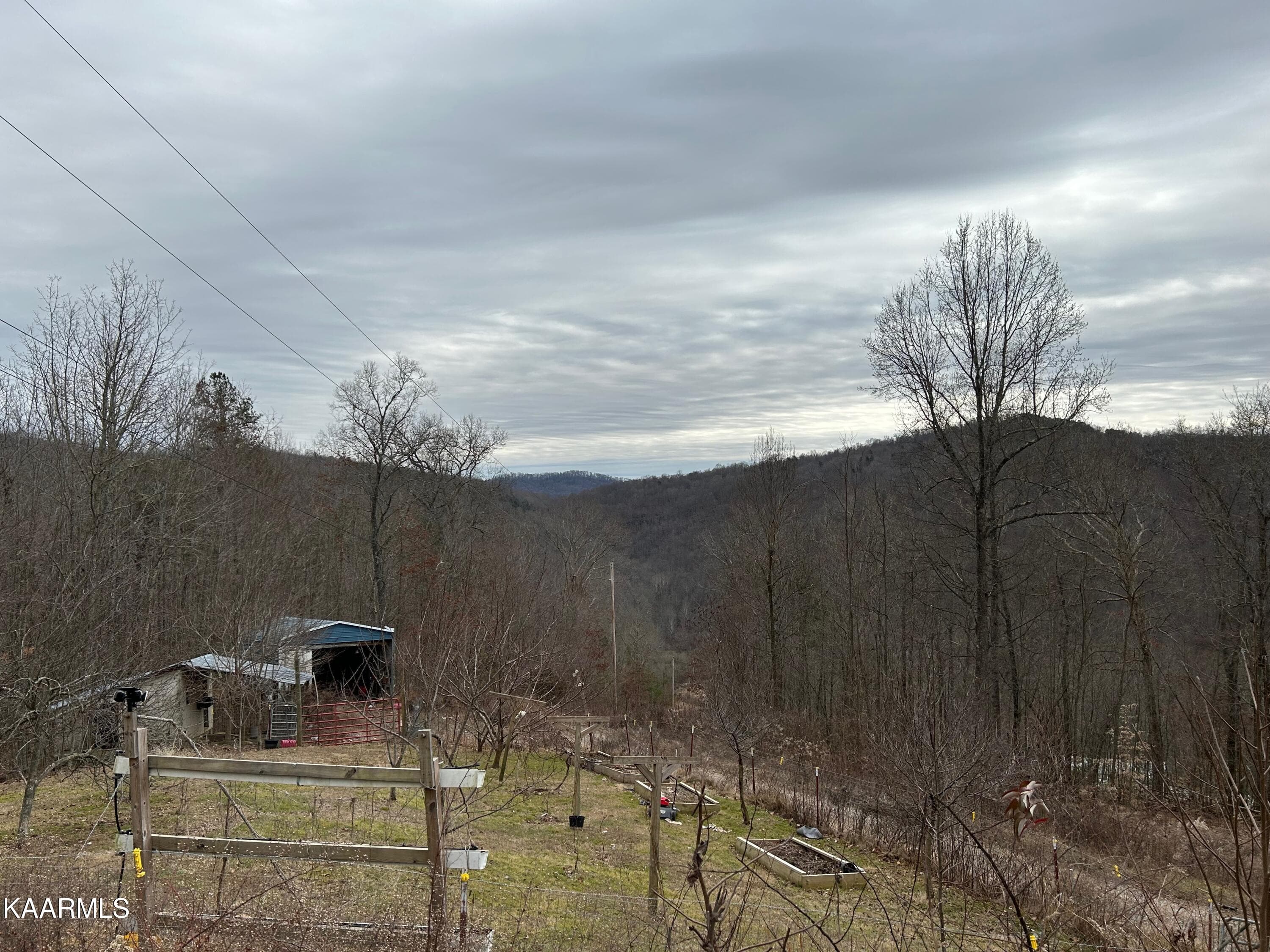 IMG_0014 - 5271 Vardy Blackwater Rd, Sneedville, TN 37869