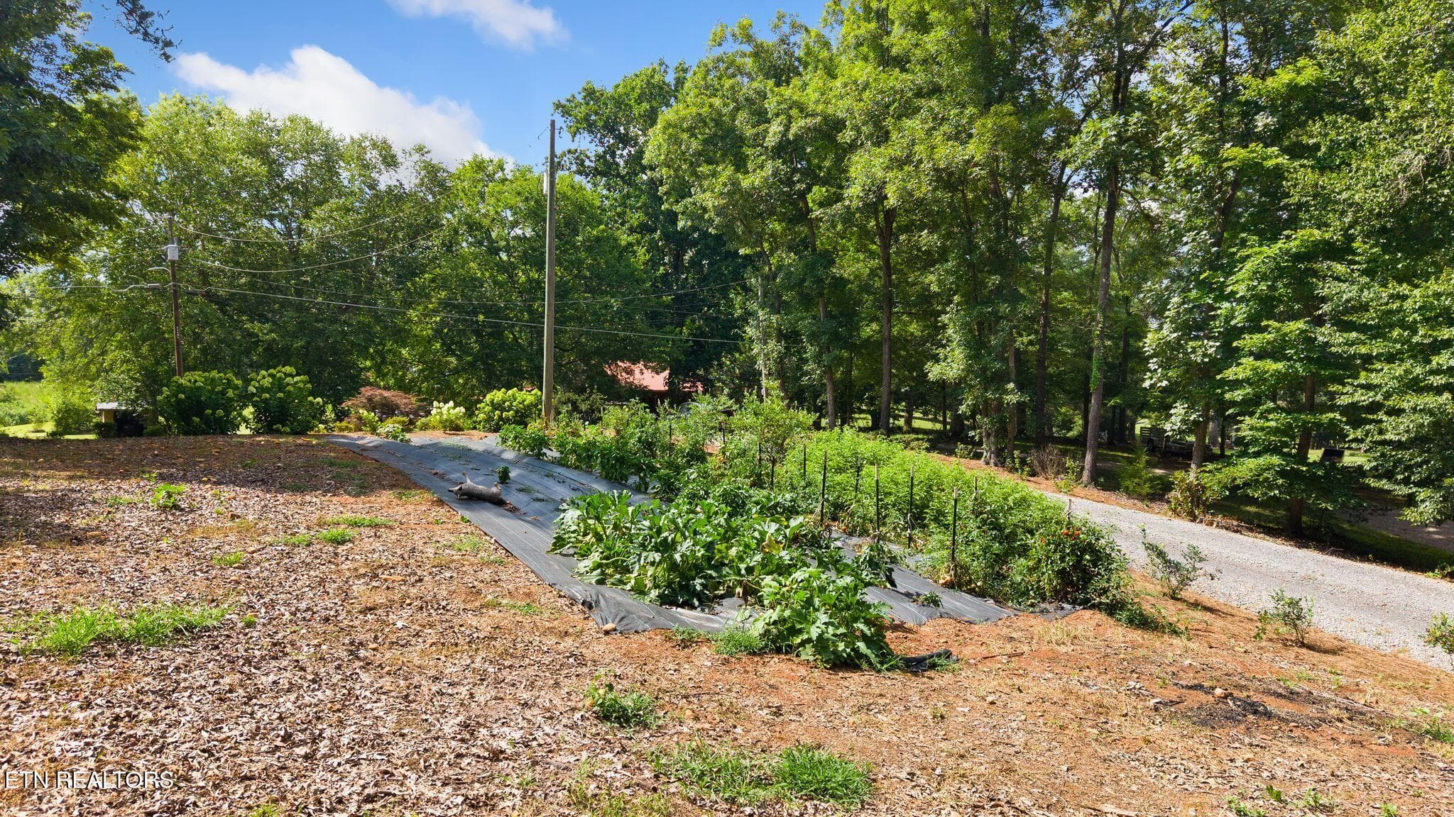 55_52 - 800 Reynolds Bridge Rd, Benton, TN 37307