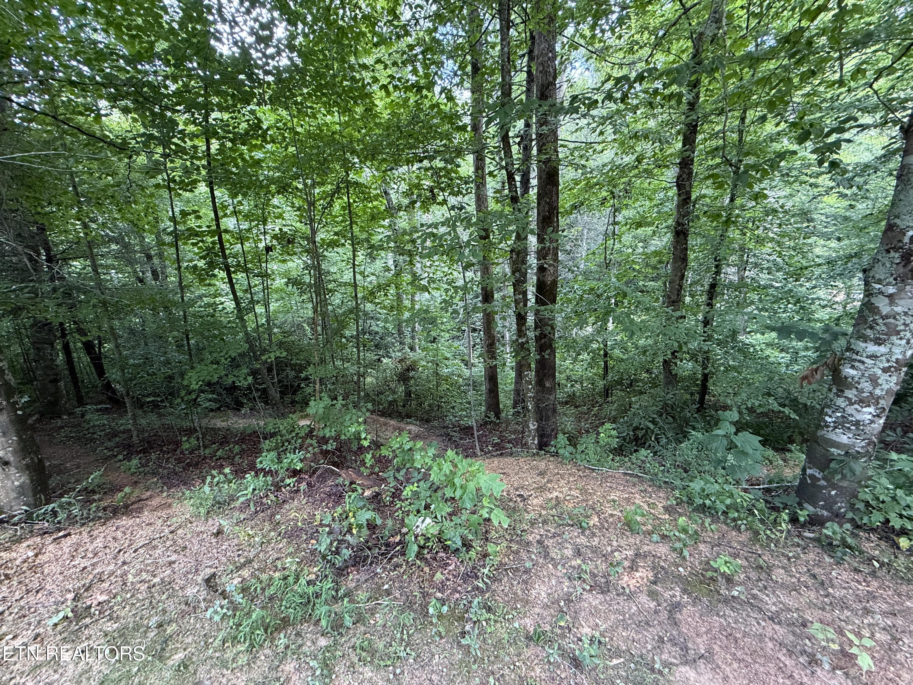 27 - 438 Country Square Rd, Newport, TN 37821