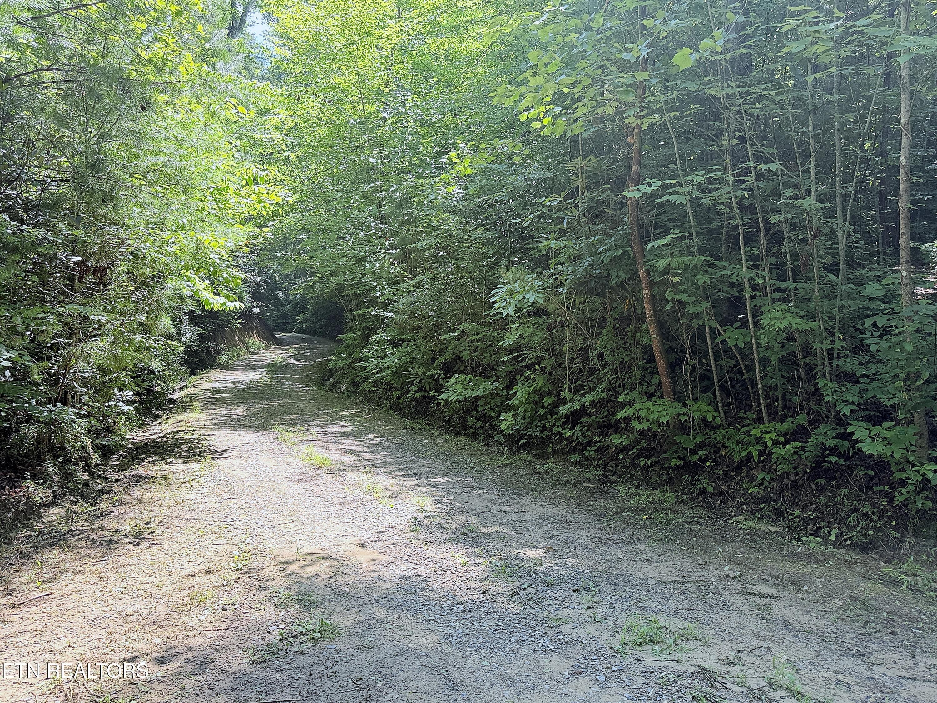 31 - 438 Country Square Rd, Newport, TN 37821