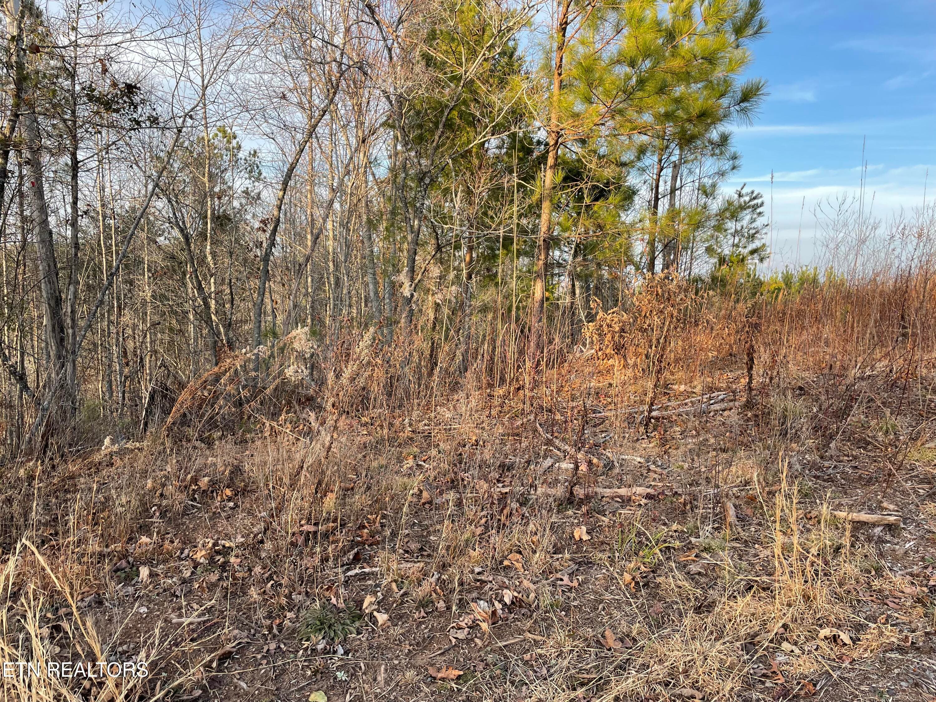 IMG_3684 - Vista Drive, Vonore, TN 37885