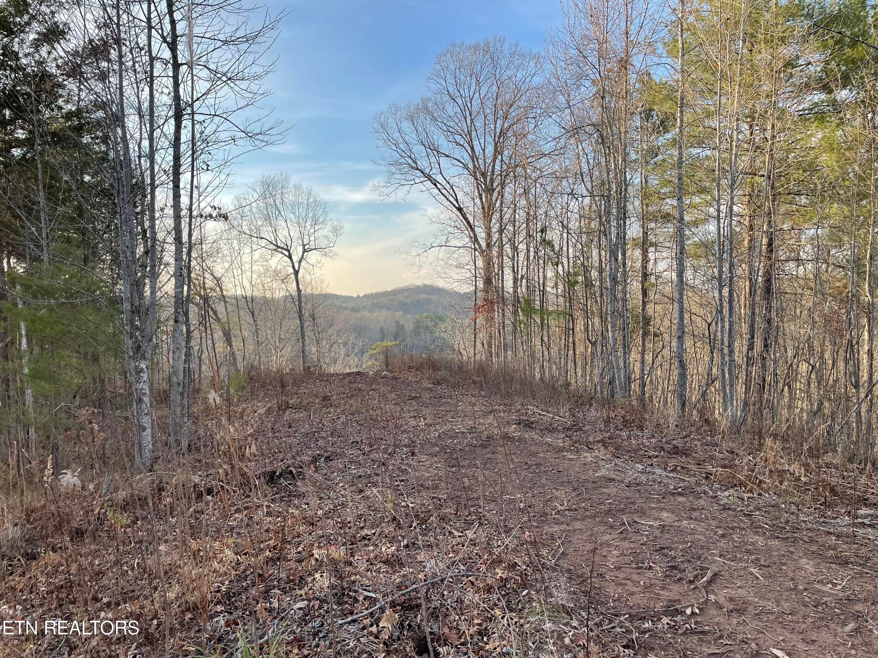 IMG_3689 - Vista Drive, Vonore, TN 37885
