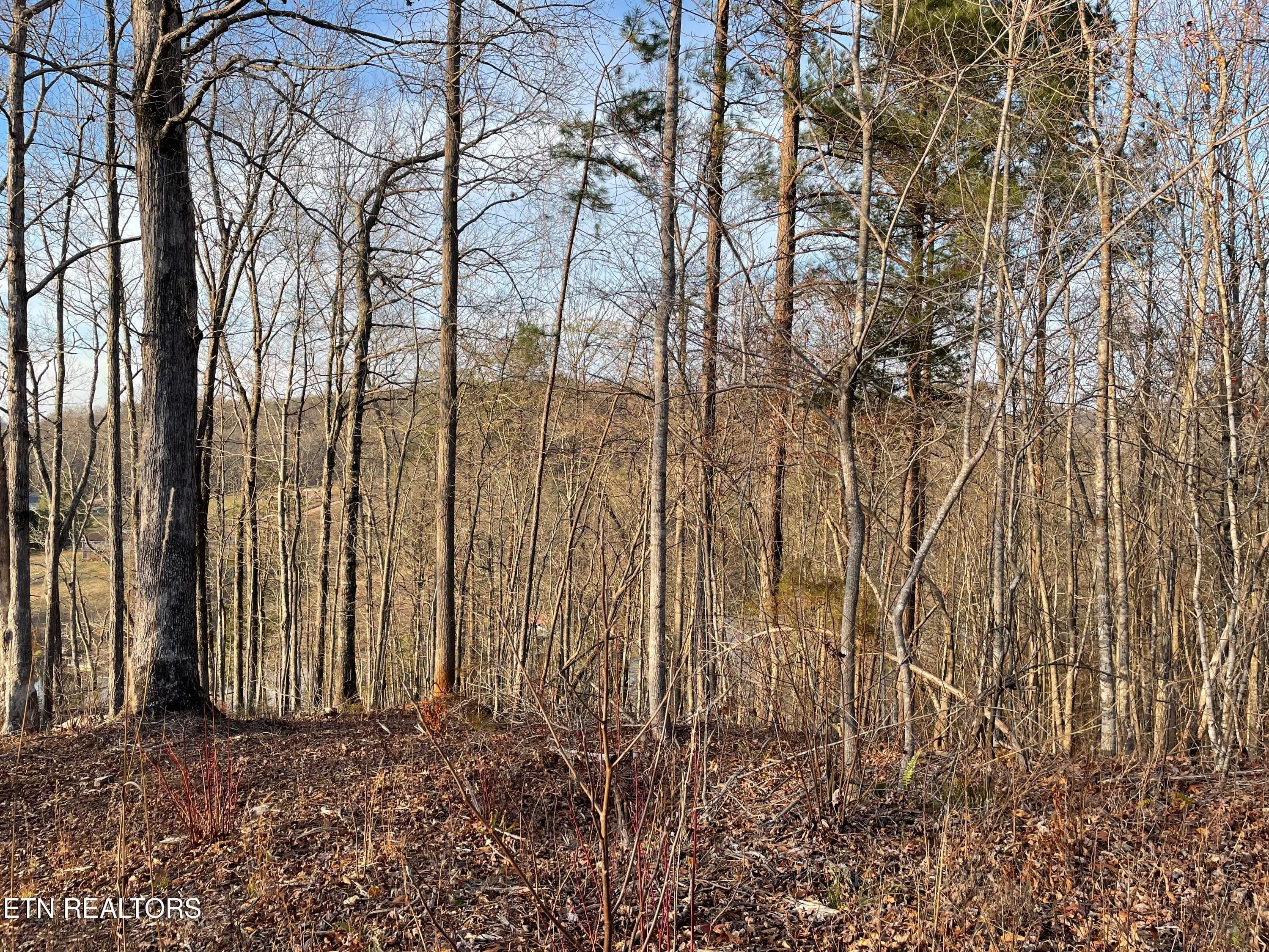 IMG_3697 - Vista Drive, Vonore, TN 37885