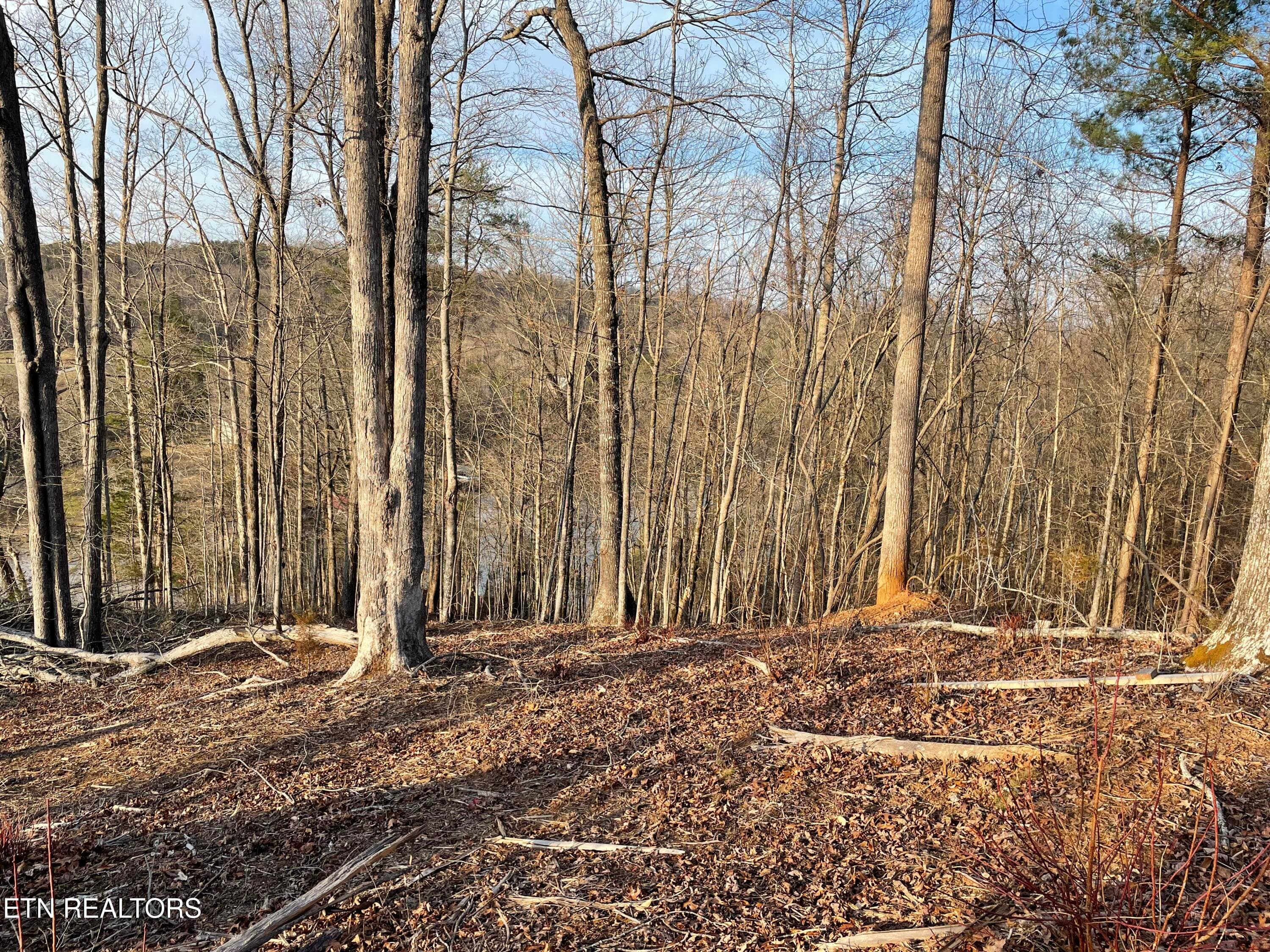 IMG_3708 - Vista Drive, Vonore, TN 37885