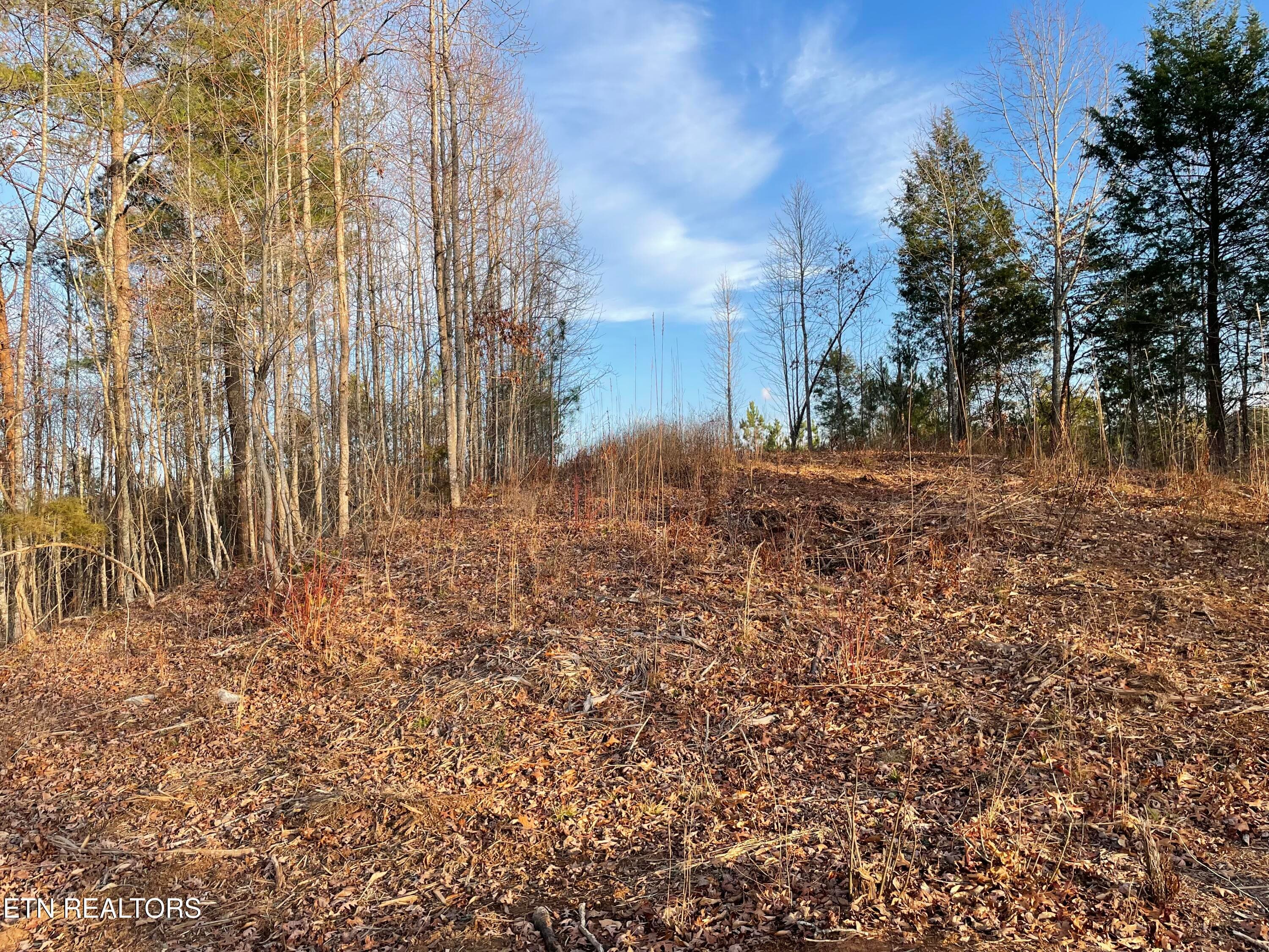 IMG_3715 - Vista Drive, Vonore, TN 37885