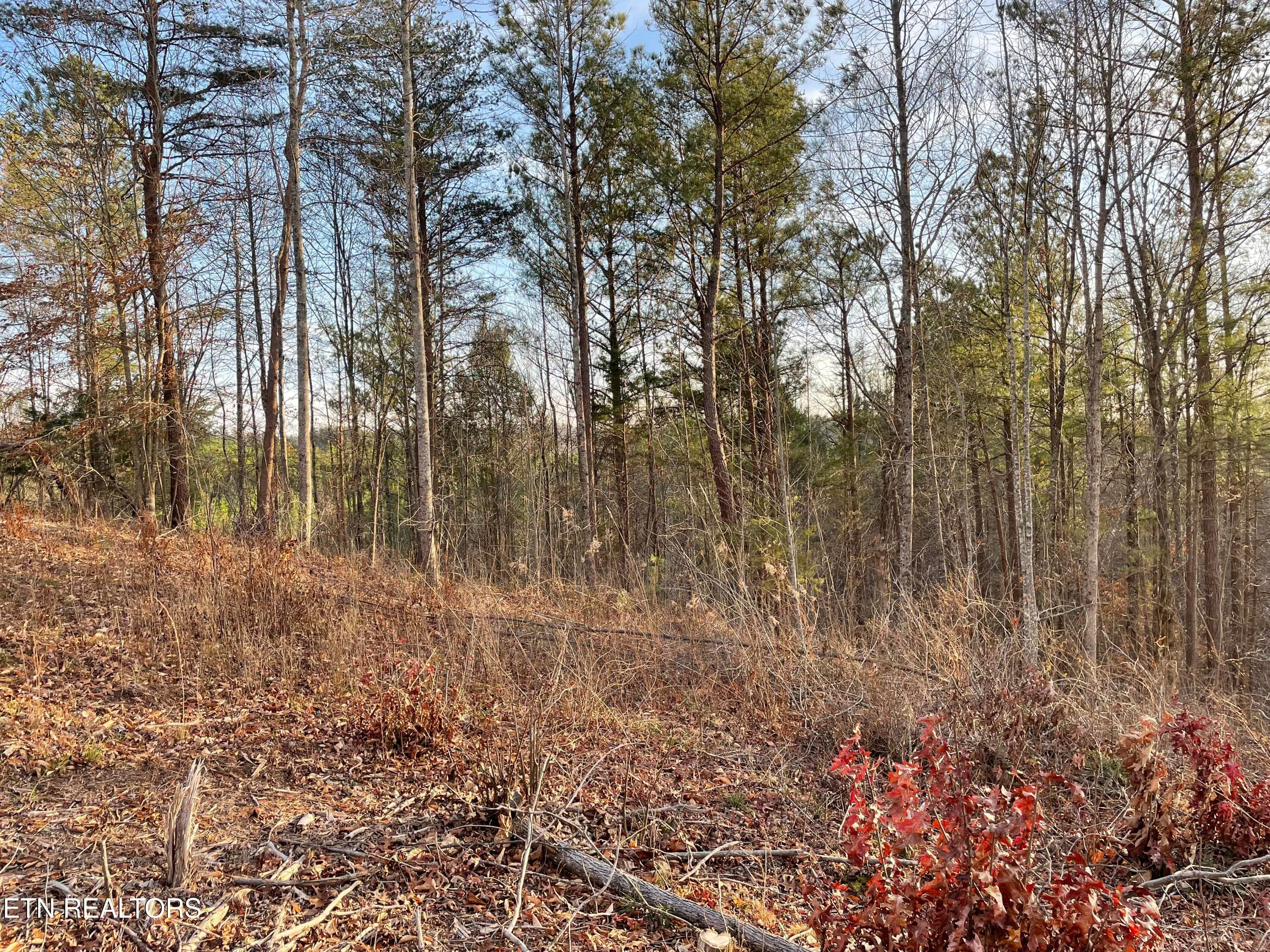 IMG_3716 - Vista Drive, Vonore, TN 37885