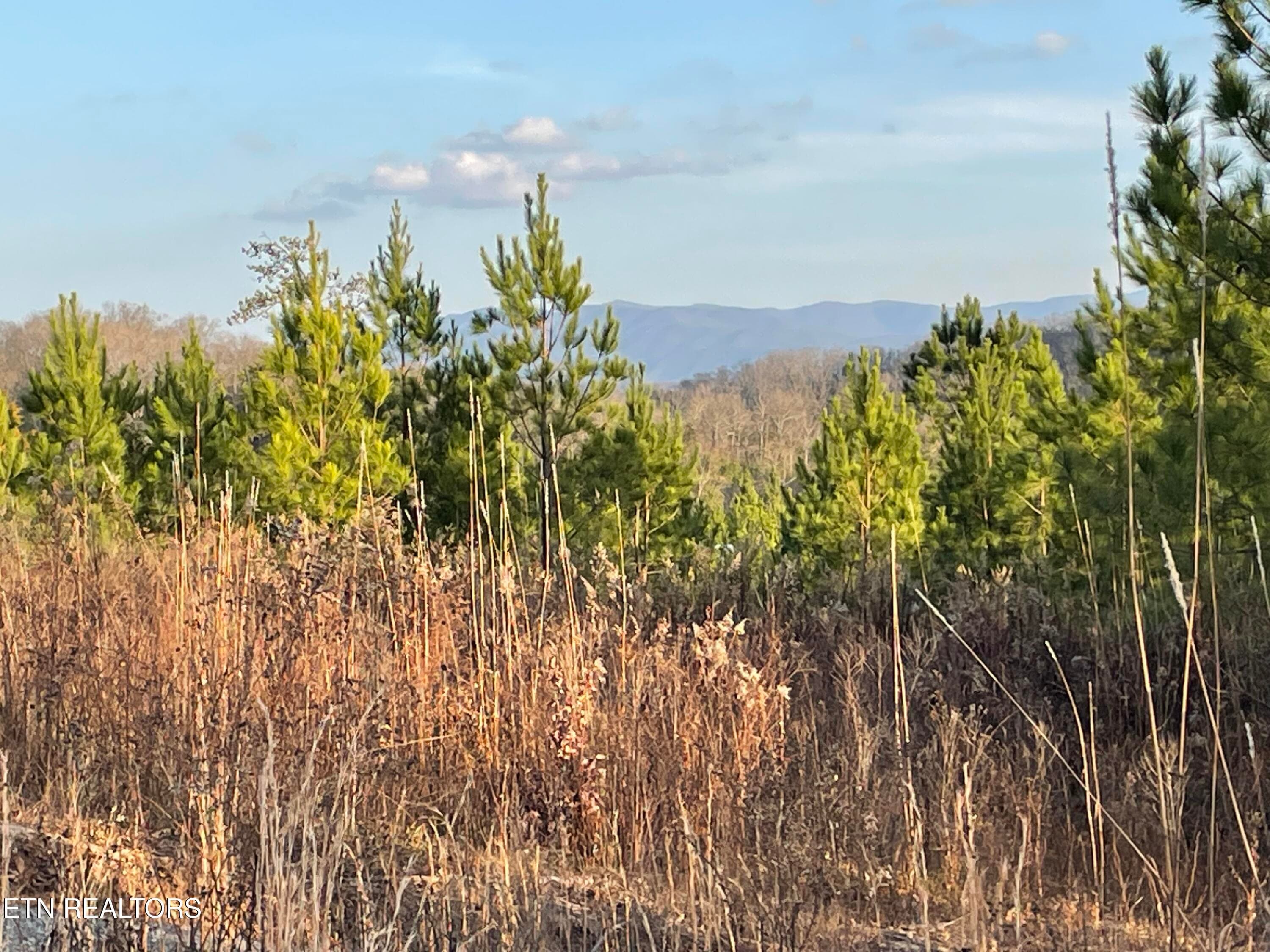 IMG_3718 - Vista Drive, Vonore, TN 37885