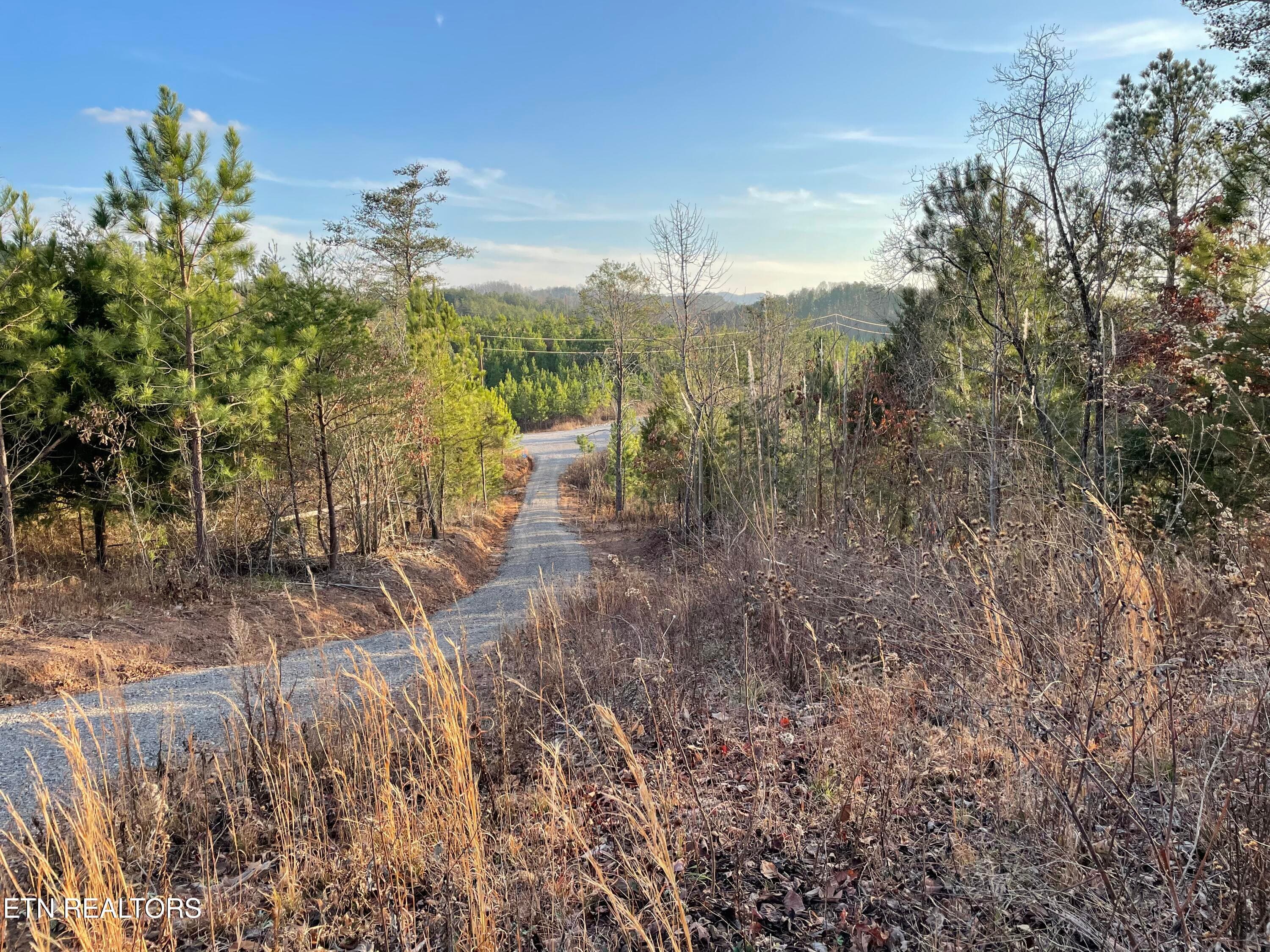IMG_3681 - Vista Drive, Vonore, TN 37885