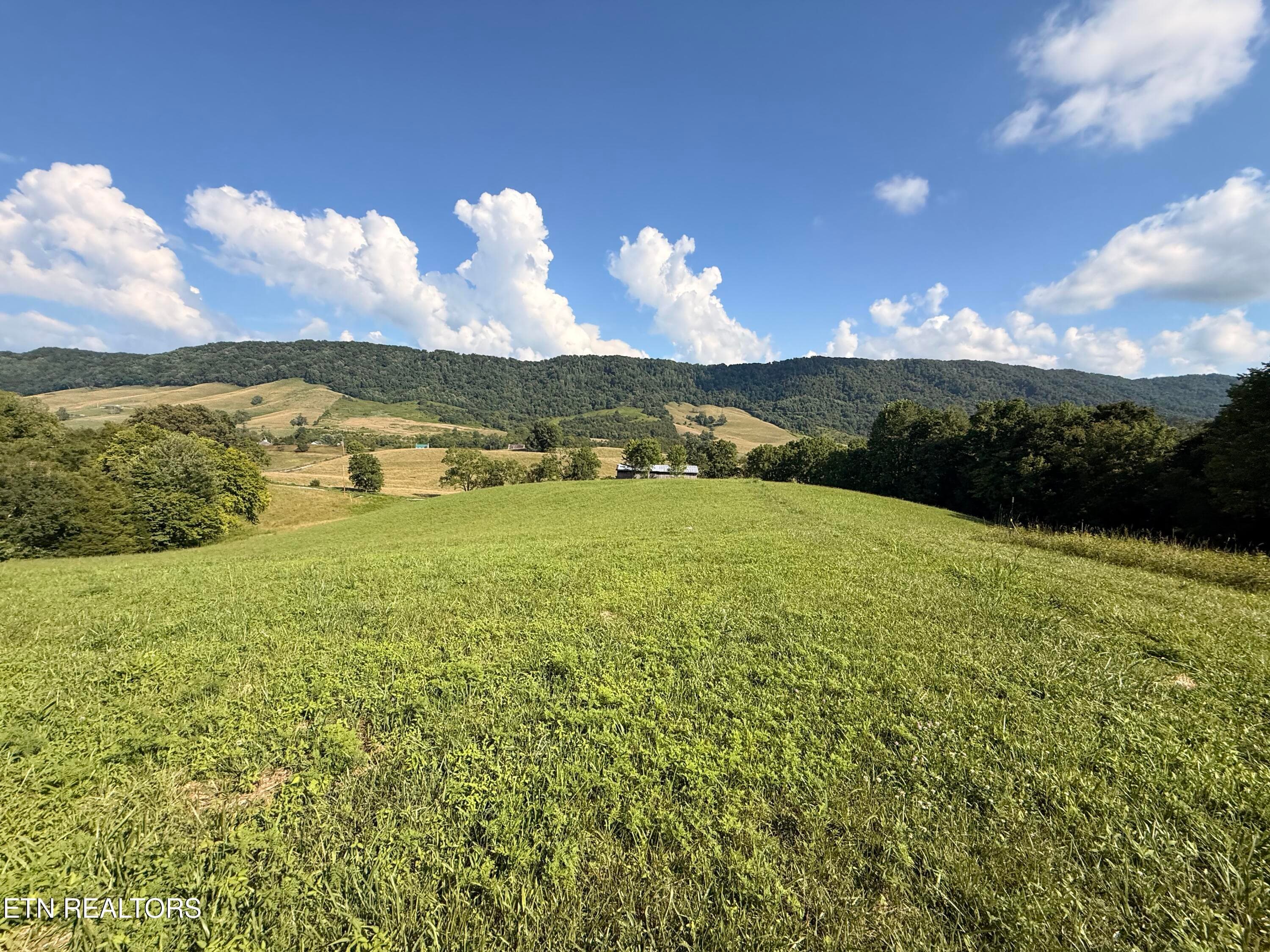 IMG_0945 - 4194 Little Sycamore Rd, Tazewell, TN 37879