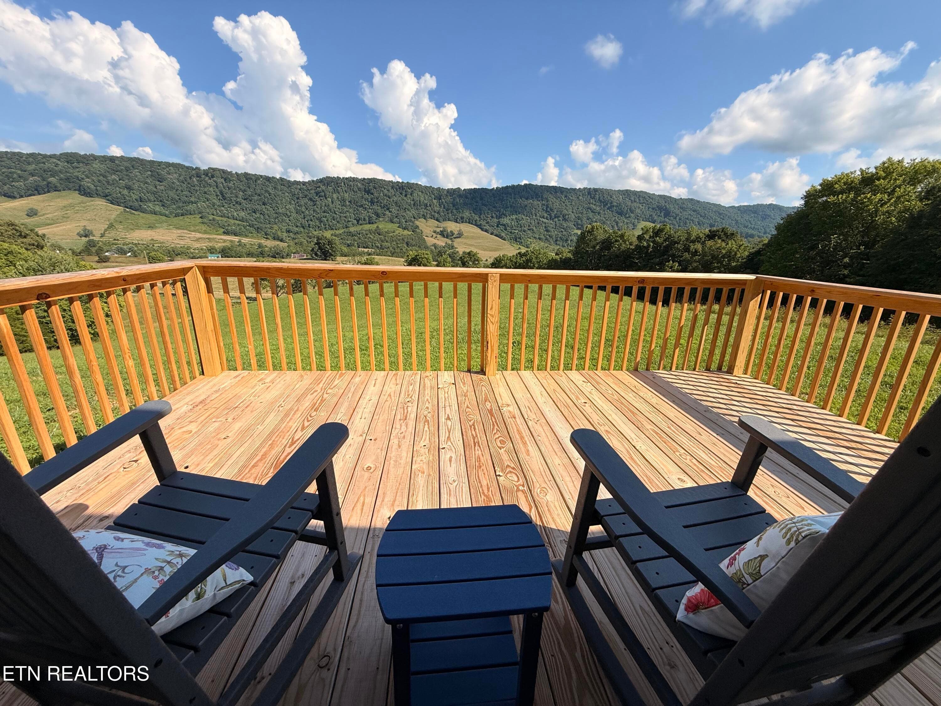 IMG_0943 - 4194 Little Sycamore Rd, Tazewell, TN 37879