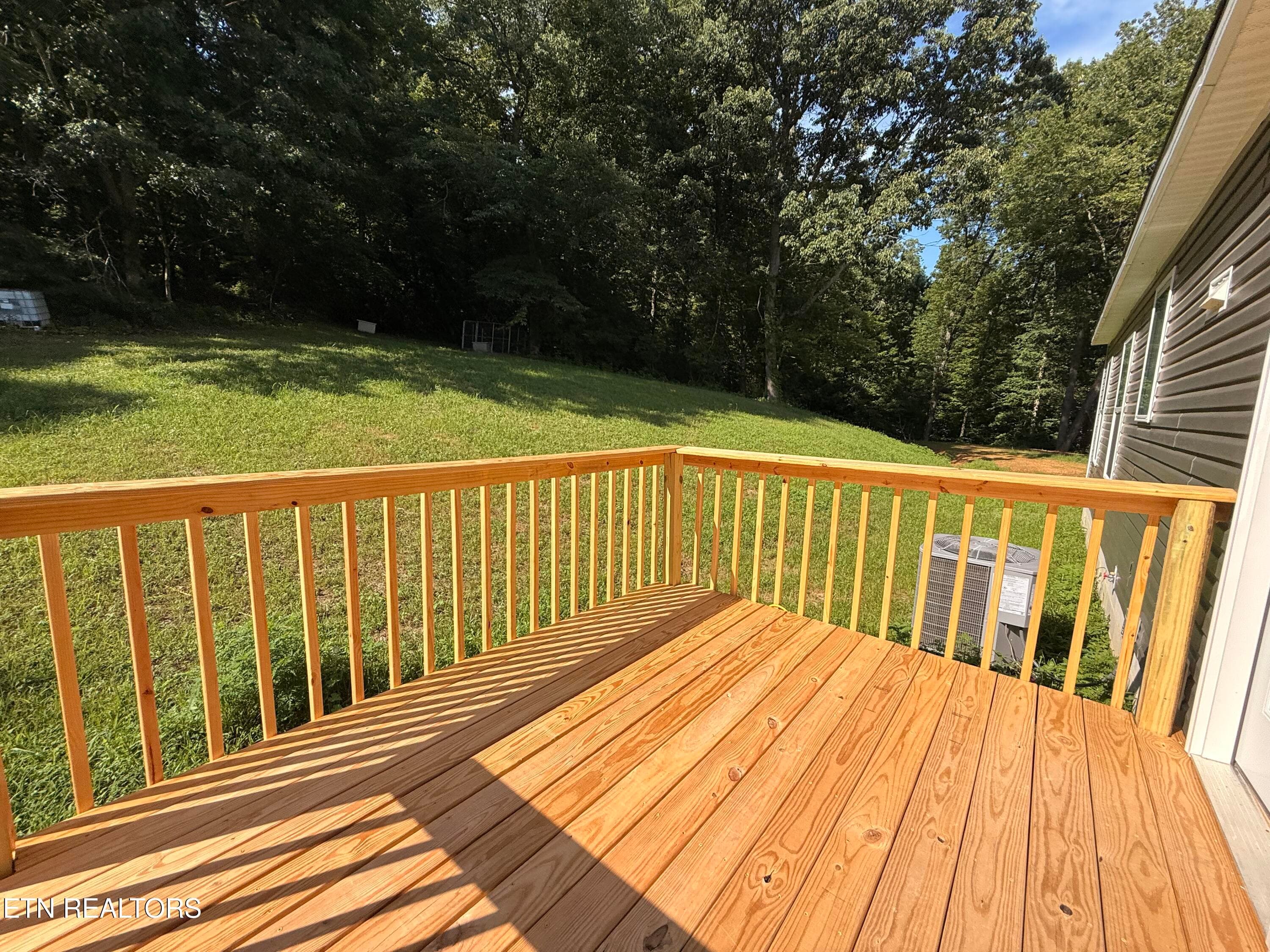 IMG_0916 - 4194 Little Sycamore Rd, Tazewell, TN 37879